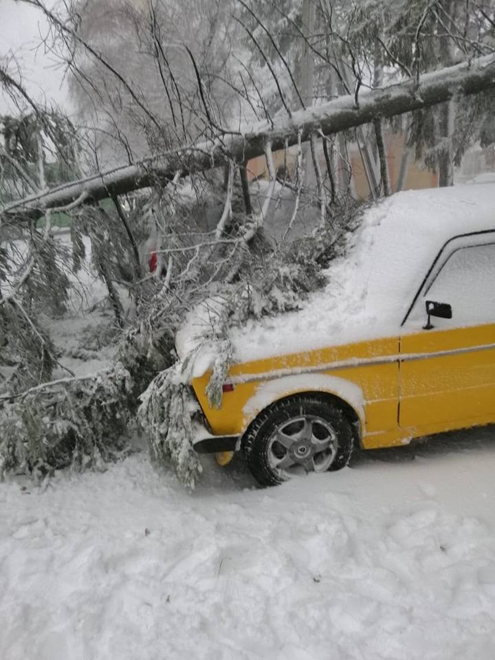 Дерево упало на машину