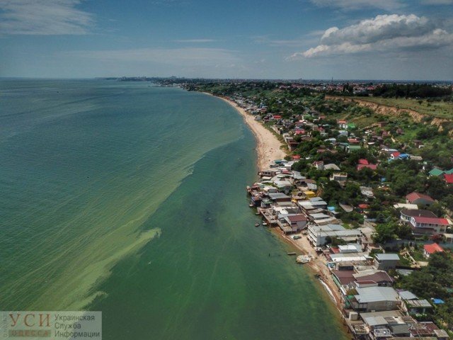 Нельзя купаться: в Одессе море стало зеленым (фото)