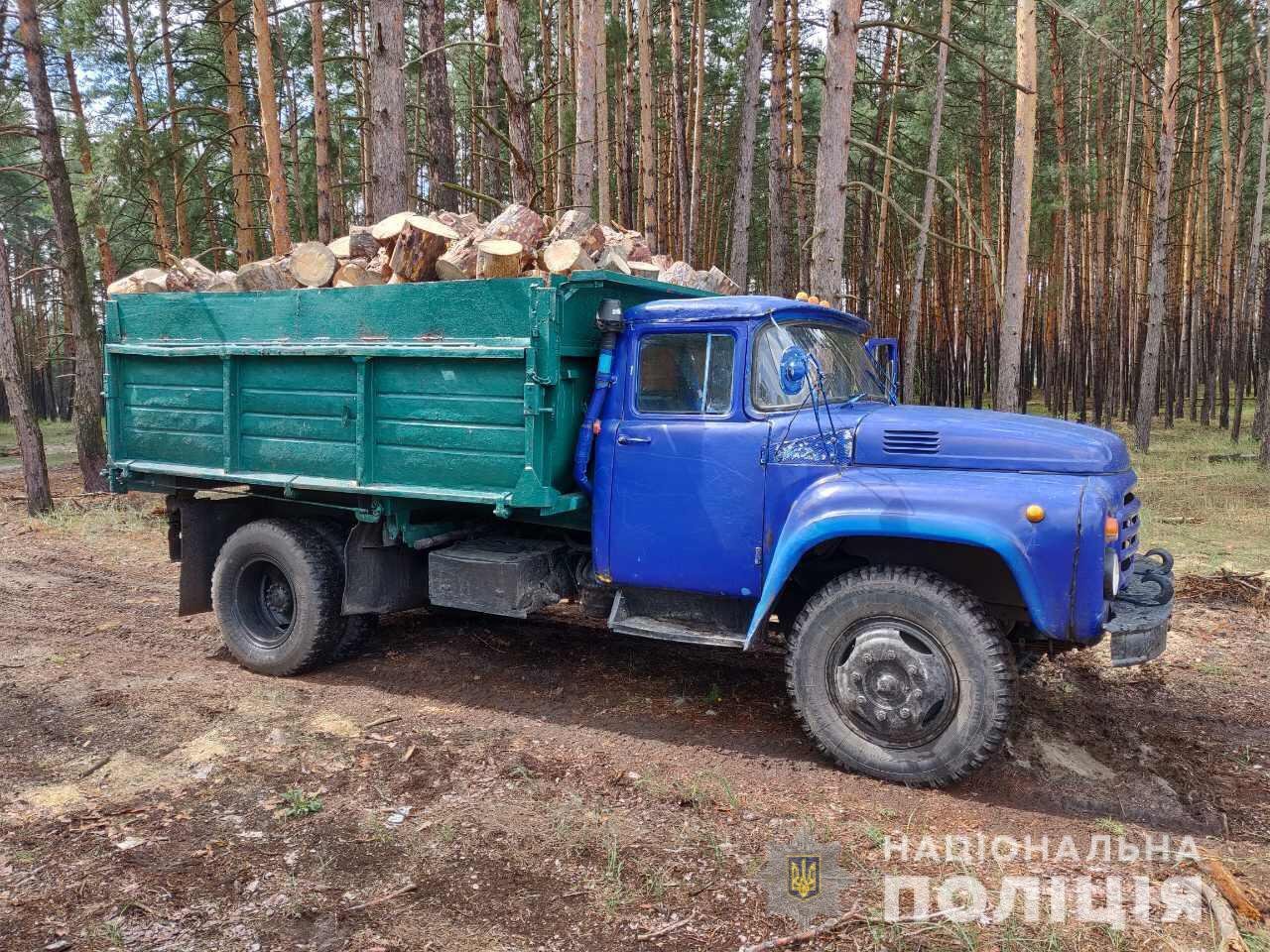 Полицейские остановили похищения древесины еще в двух районах Харьковщины