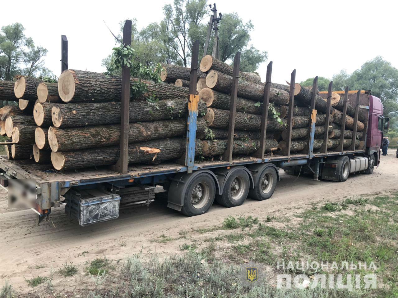 Вырубка деревьев на Харьковщине: открыто 13 уголовных производств