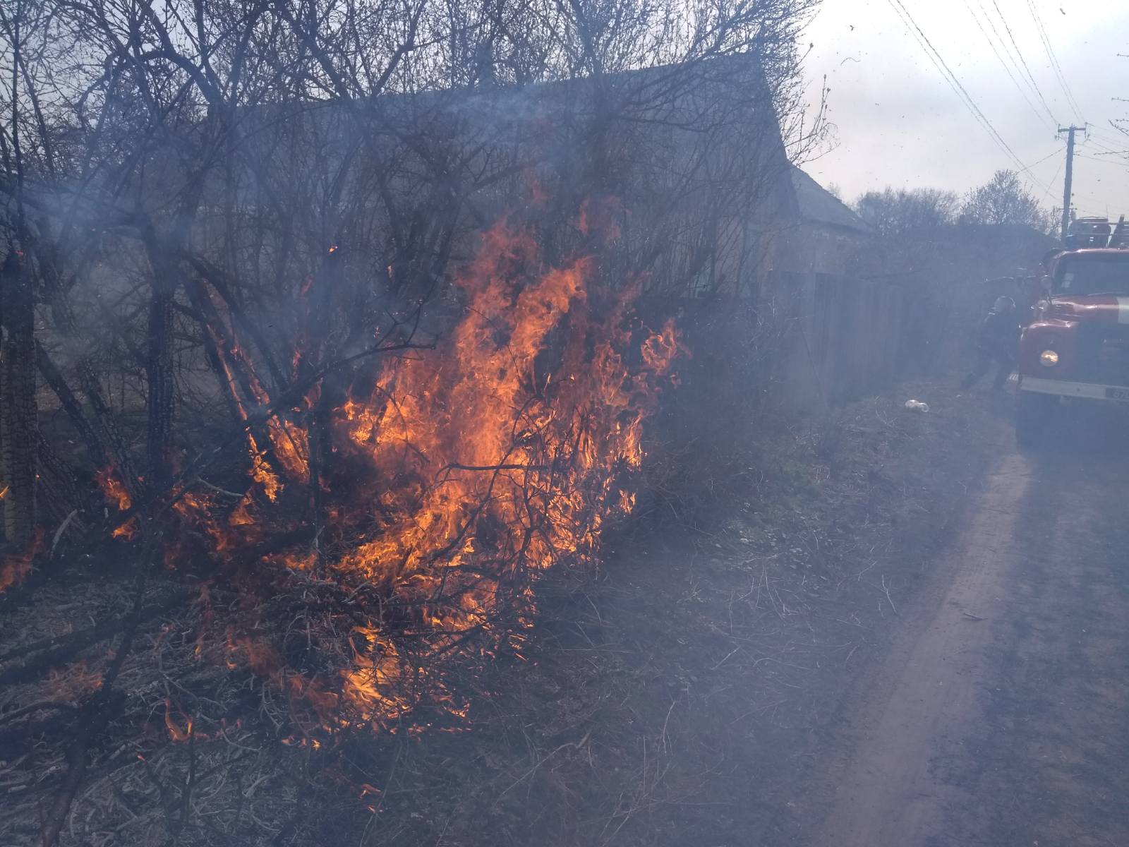 Под Харьковом от загоревшегося сухостоя начал гореть дом (фото)