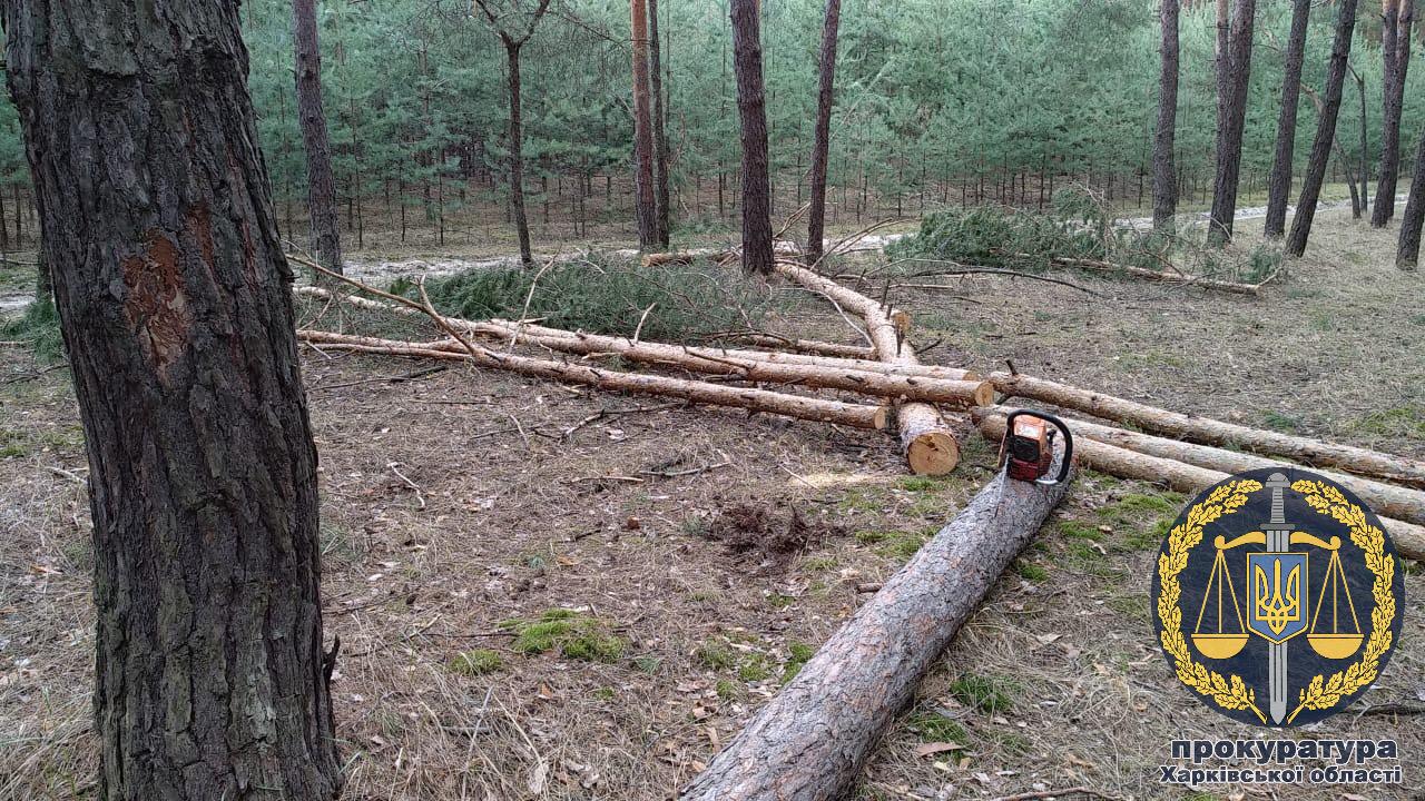 Полицейские на Харьковщине для повышения раскрываемости сфальсифицировали уголовное дело