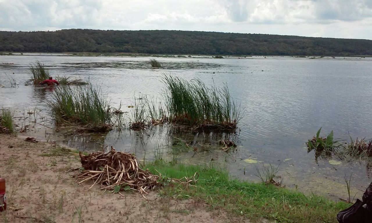 Рятувальники обстежили водойми у Зміївському районі