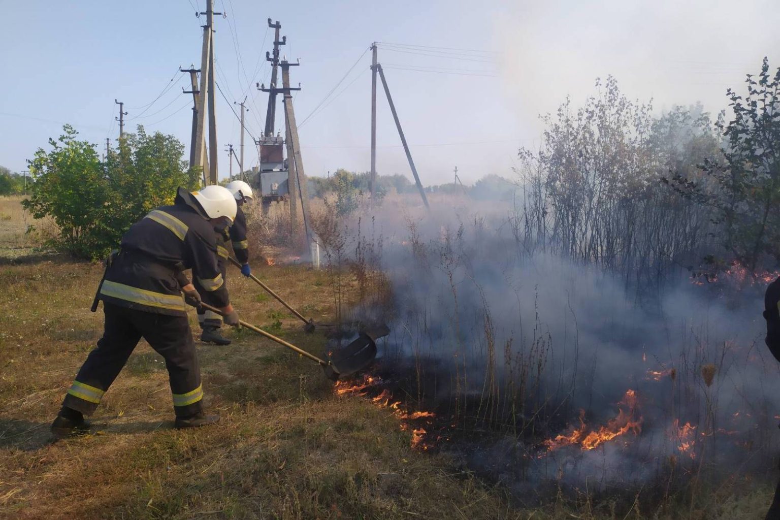 На Харьковщине сгорело 30 га кукурузного поля