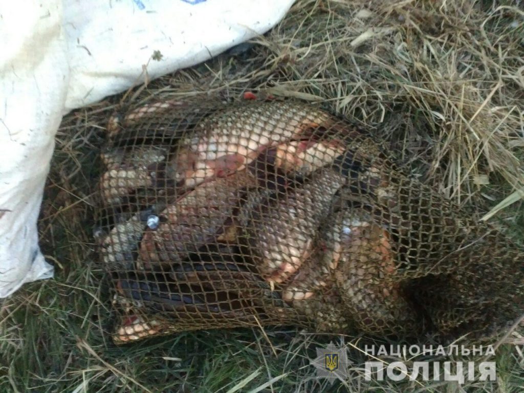 Харьковские браконьеры в октябре нанесли более 46 тыс. грн убытков — рыбоохранный патруль