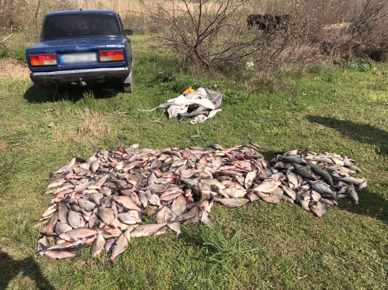 Арендаторы водоемов на Харьковщине незаконно спускают воду