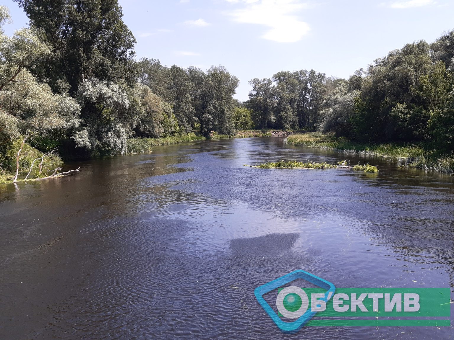 В Северском Донце на Харьковщине обнаружили сальмонеллу