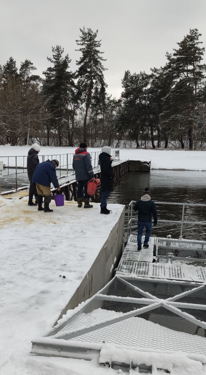 Гибель уток в Удах — Госэкоинспекция проверила качество очистки воды (фото)