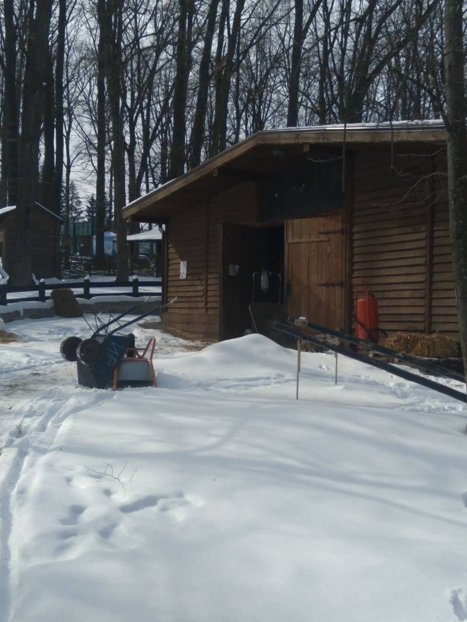 В Харькове в экопарке животные гибнут от стресса (фото)