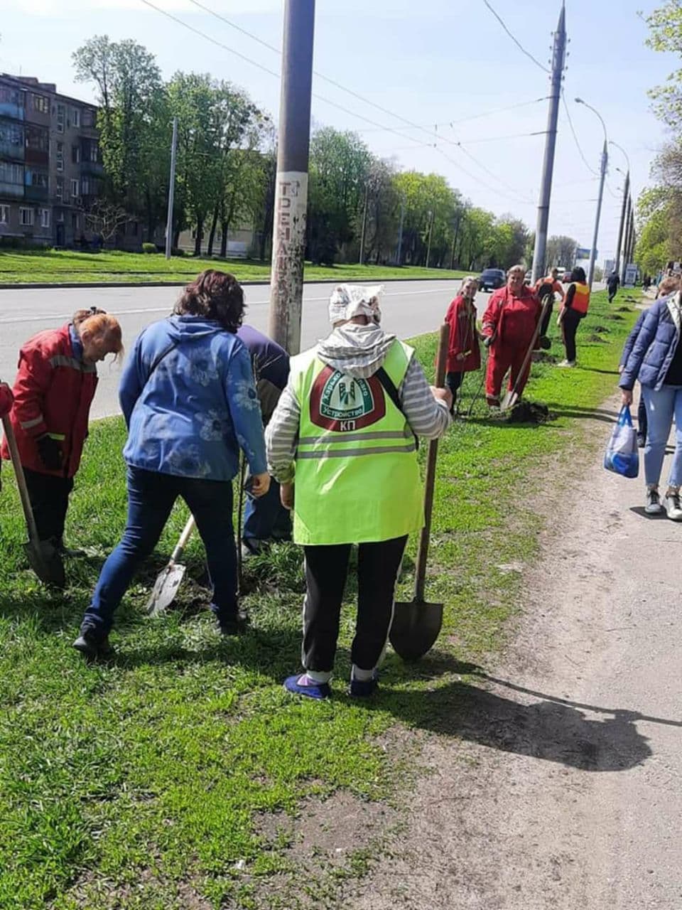 На проспекте Гагарина высадили саженцы орехов и калины (фото)