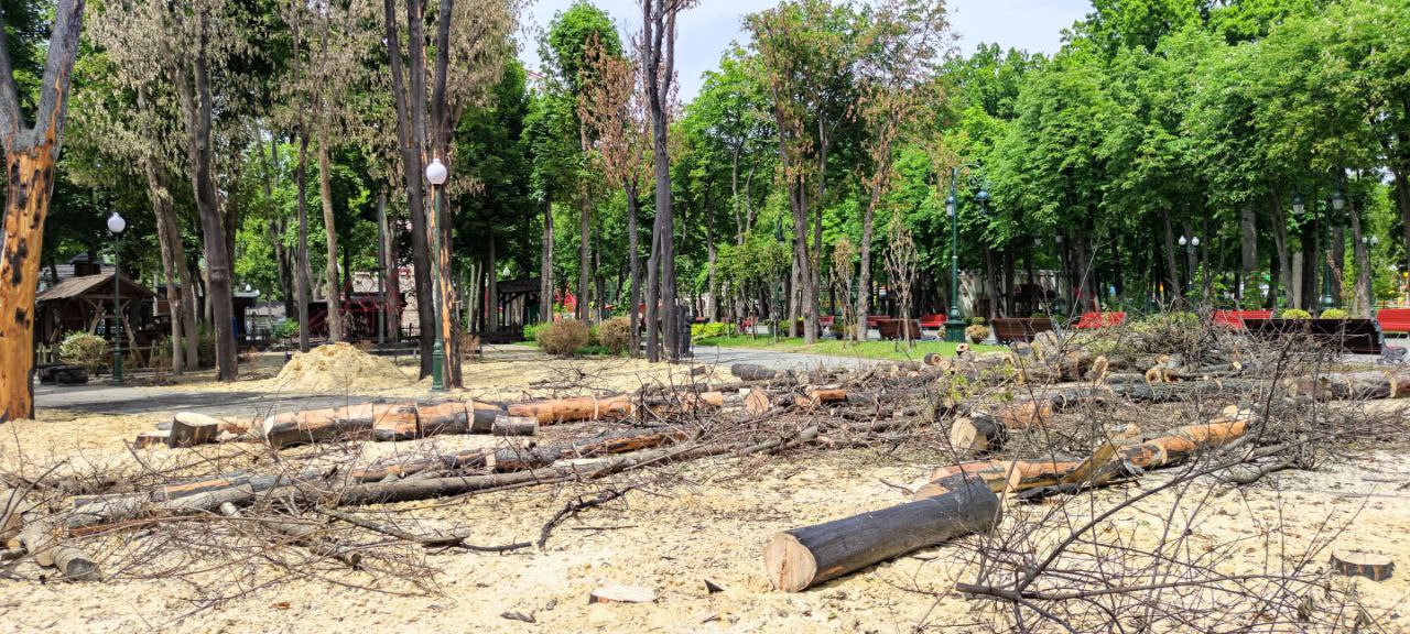 В харьковском парке Горького спилили деревья, пережившие 2 мировые войны (фото)