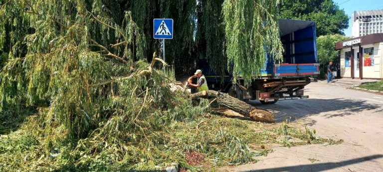 В Харькове дерево и электропора упали на ребенка и двух взрослых (видео)