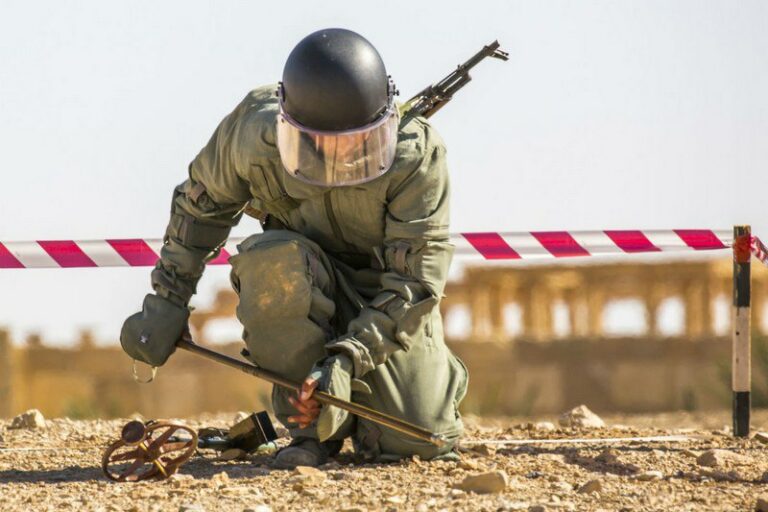 Пиротехники подорвались на Харьковщине — Синегубов