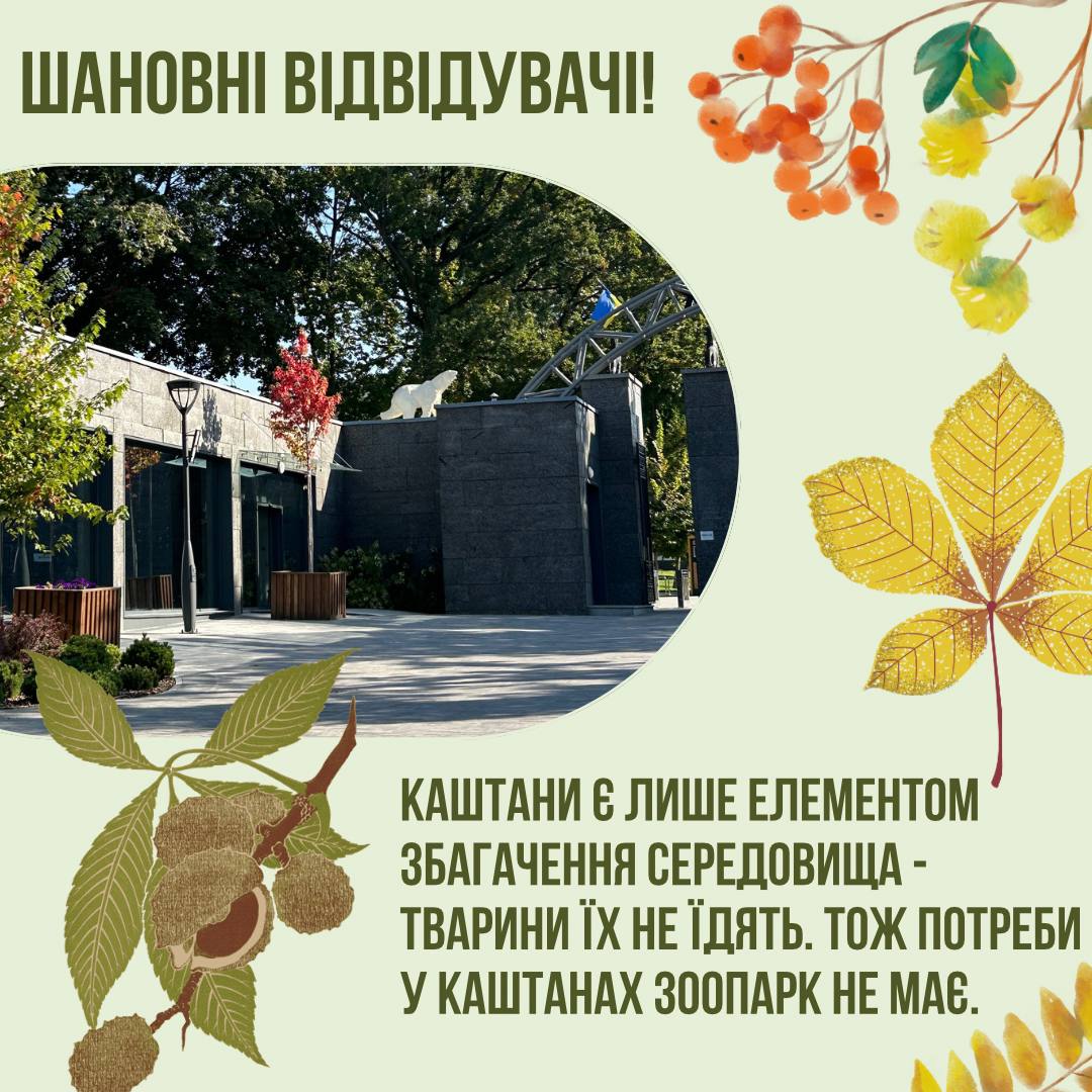 «Тварини їх не їдять»: харків’ян просять не привозити каштани до зоопарку