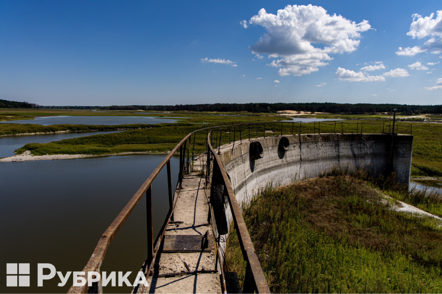 Оскольское водохранилище после теракта: краснокнижные птицы и новые экосистемы