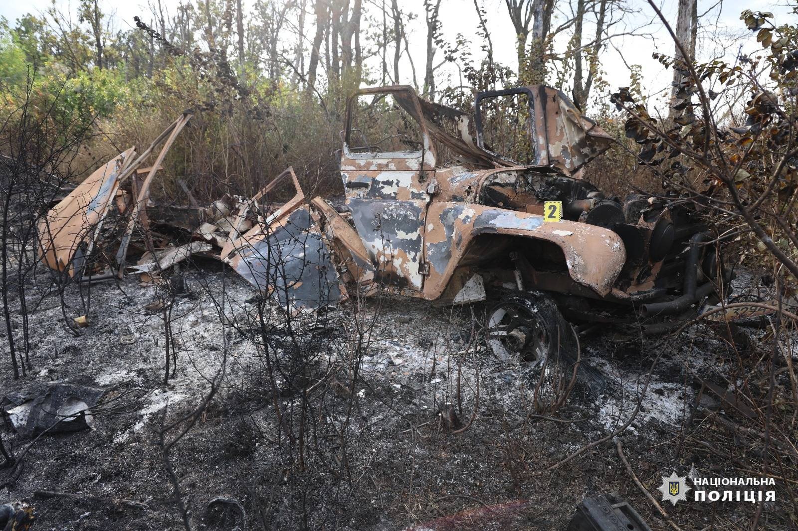 9 фото в одном онлайн