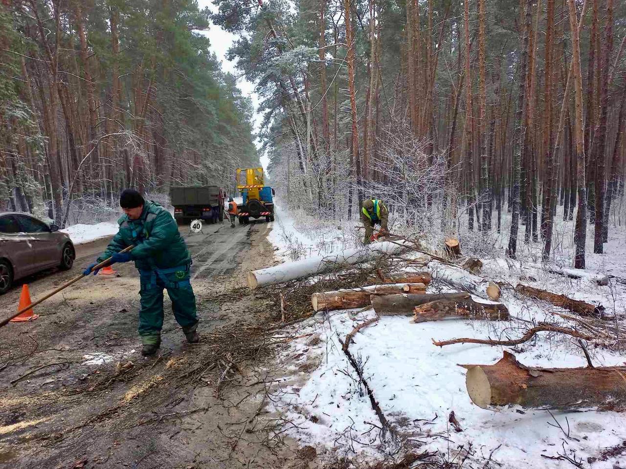 Ветер в Харькове повалил три дерева, есть случаи обрыва проводов (фото)