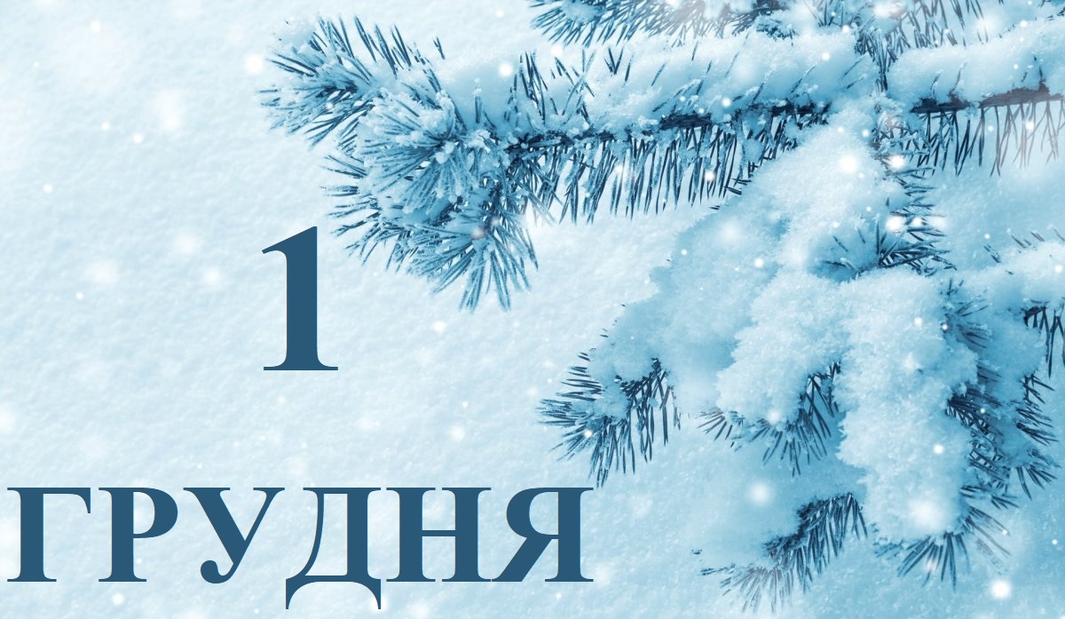 Что празднуют в России и в мире в пятницу, 1 декабря