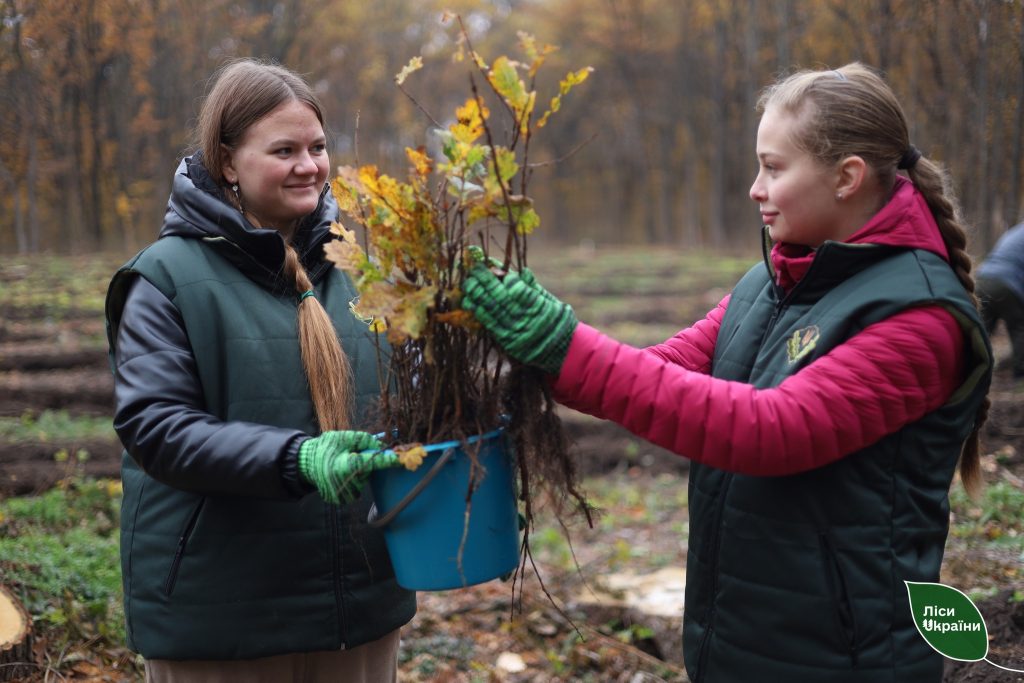За рік на Харківщині висадили понад 5 млн дерев