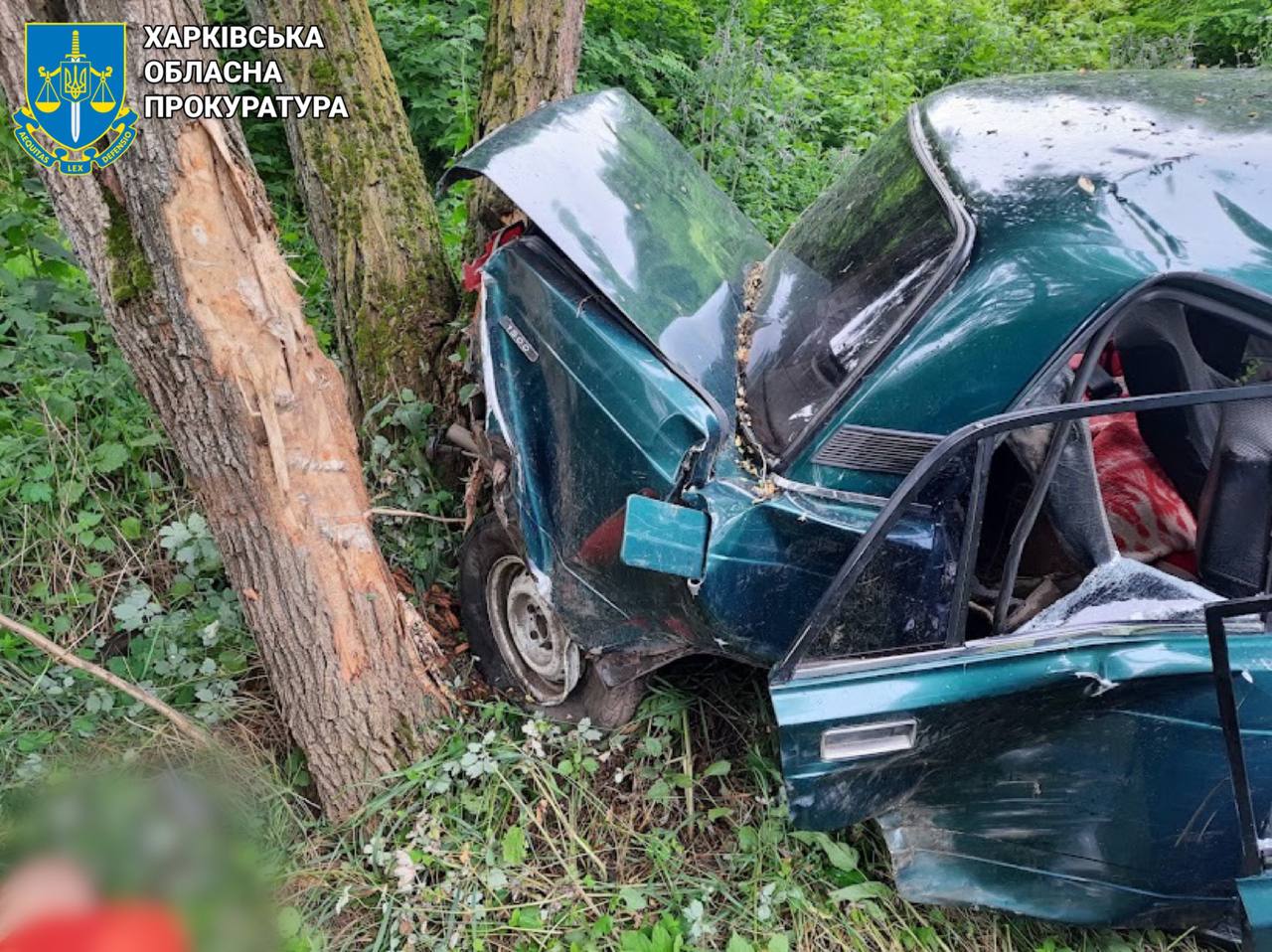 П’яним в’їхав у дерево і загинув пасажир: на Харківщині засудили водія