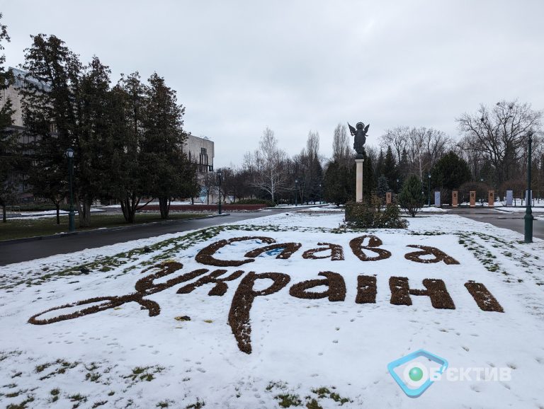 Розгул снігової стихії прогнозують у Харкові й області: погода на 14 листопада