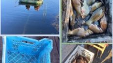 Двоє чоловіків на Харківщини сіткою наловили 26 кг риби: збитки – 43 тис. грн