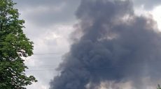 Масштабна пожежа у Харкові: горіла суха трава та очерет (фото, відео)