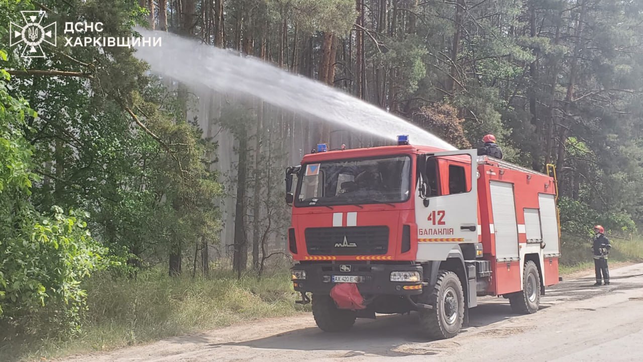 На Харківщині – 14 лісових пожеж, горить понад 3700 га (фото)