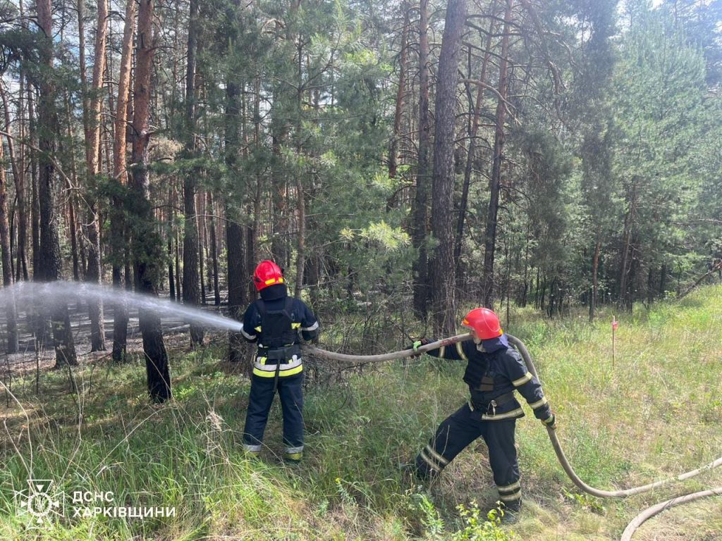 На Харьковщине – 14 лесных пожаров, горит более 3700 га (фото)