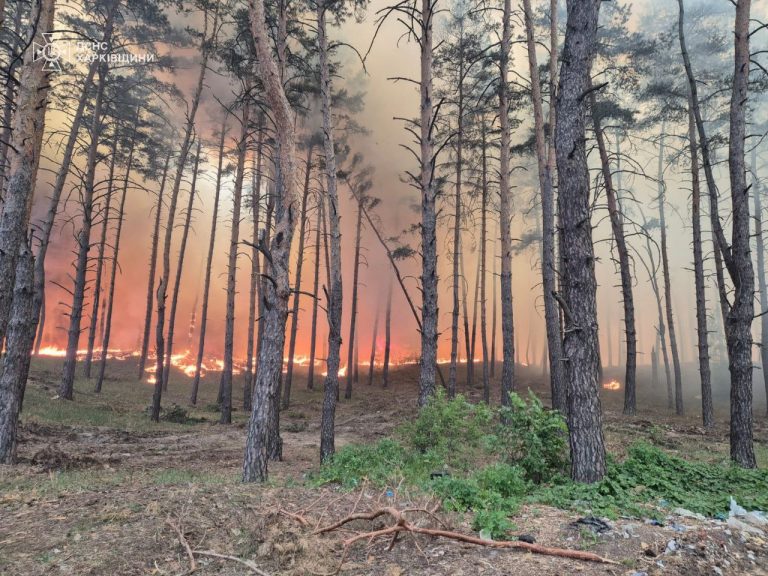 Рекордный лесной пожар на Харьковщине невозможно погасить — министр экологии
