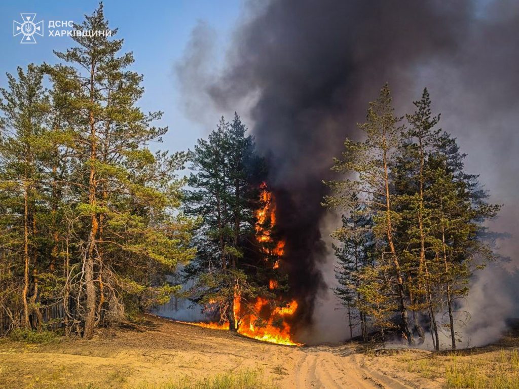 Леса горят в Харьковской области из-за обстрелов россиян