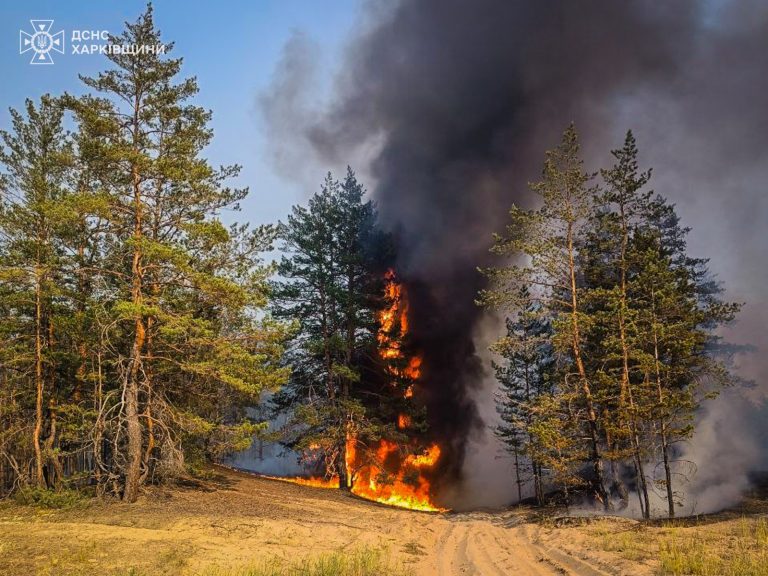 На Харьковщине тушат три лесных пожара — ГСЧС
