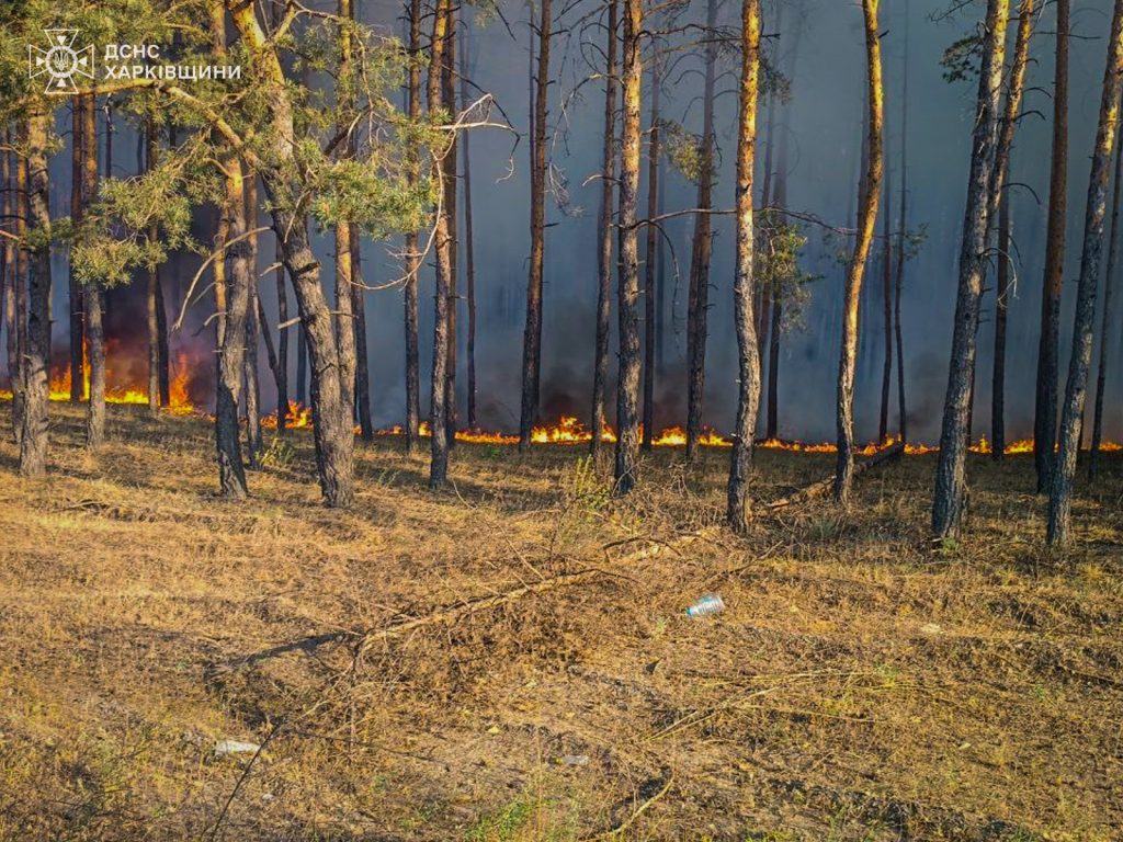 На Харківщині продовжують гасити п’ять лісових пожеж, горять 3000 га – ДСНС