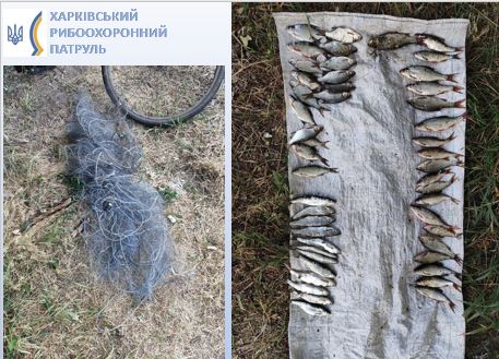 Порыбачил на более 50 тыс. грн: на Харьковщине поймали браконьера