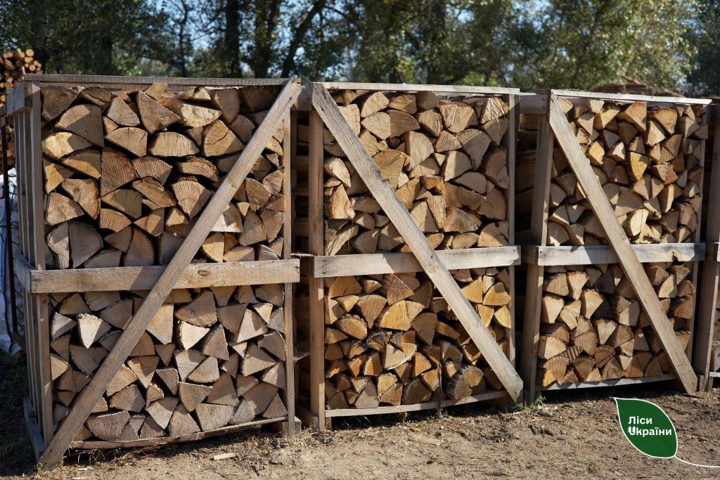 Скільки коштують дрова на Харківщині: лісники озвучили ціни