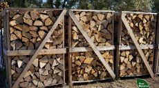 Скільки коштують дрова на Харківщині: лісники озвучили ціни