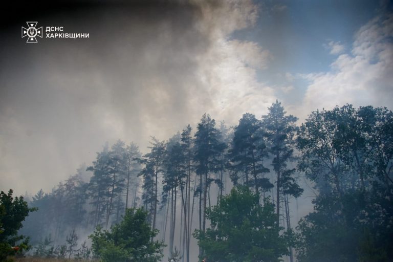 Масштабна лісова пожежа продовжується на Харківщині: горять 3450 га