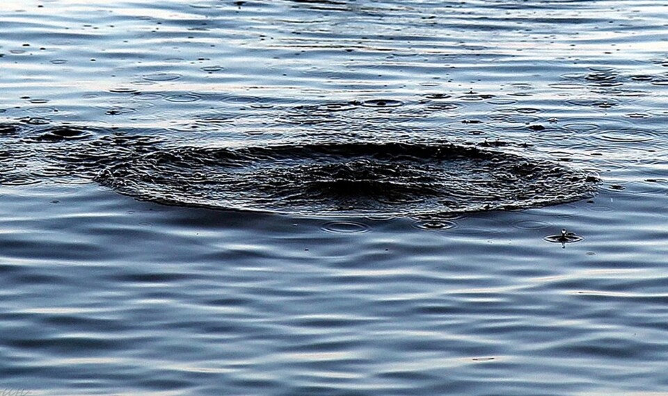 Купалася без нагляду: 12-річна дівчинка потонула на Журавлівці в Харкові