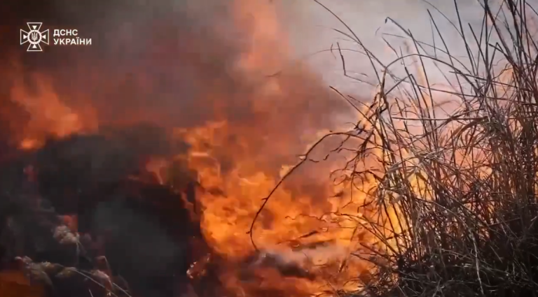 Масштабные пожары в лесах Харьковщины: спасатели обустраивают барьеры (видео)