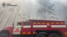 В заминированном лесу на Харьковщине потушили масштабный пожар (видео)