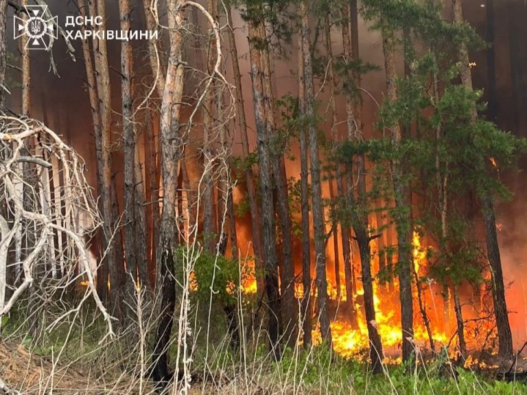 На Харківщині вирують три лісові пожежі, одну рятувальникам вдалося приборкати