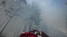 На Харківщині – три лісові пожежі: горять 280 гектарів (фото)
