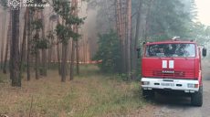Один из лесных пожаров на Харьковщине потушили, бушуют еще три (фото)