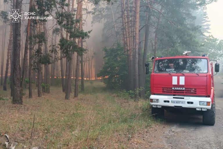 Одну з лісових пожеж на Харківщині загасили, вирують ще три (фото)