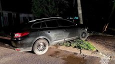 Предположительно пьяный водитель влетел ночью в дерево в Харькове