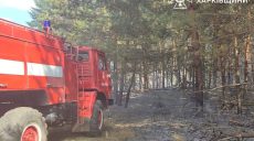 Из-за обстрела горит лес в районе Старого Салтова на Харьковщине (фото)