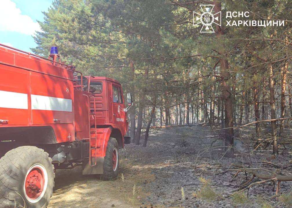 Через обстріл горить ліс у районі Старого Салтова на Харківщині (фото)