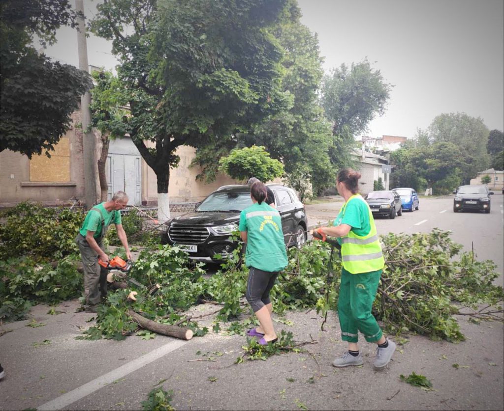 Полторы сотни сломанных деревьев и веток: какой беды наделал шквал в Харькове