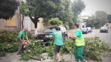 Полторы сотни сломанных деревьев и веток: какой беды наделал шквал в Харькове