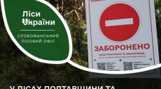 Ліси на Харківщині заборонили відвідувати через спеку